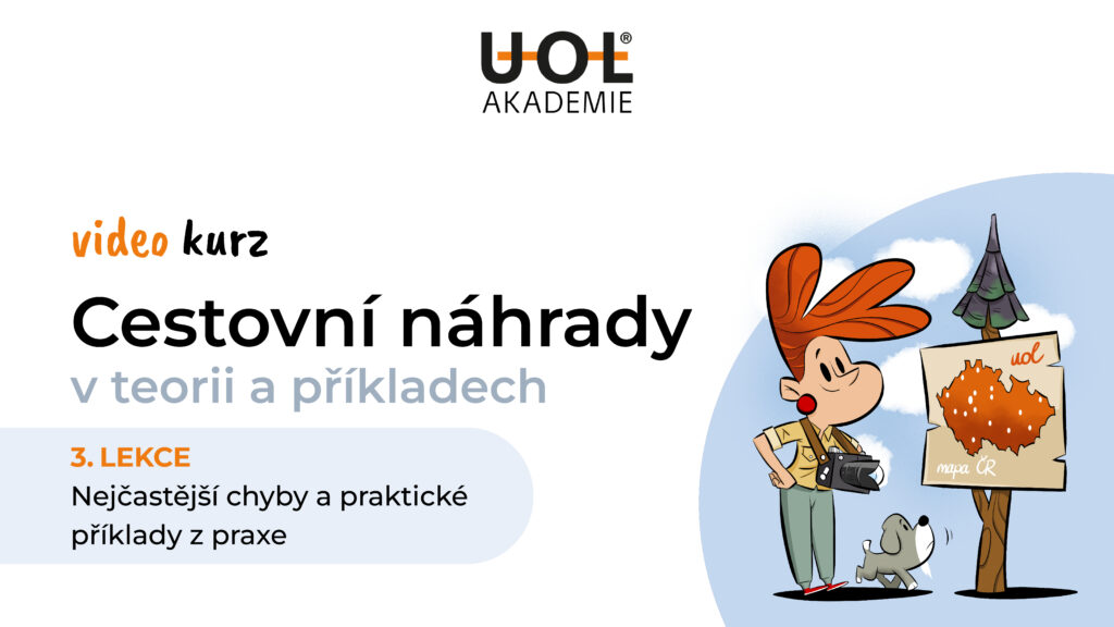 Nejčastější chyby a praktické příklady z praxe